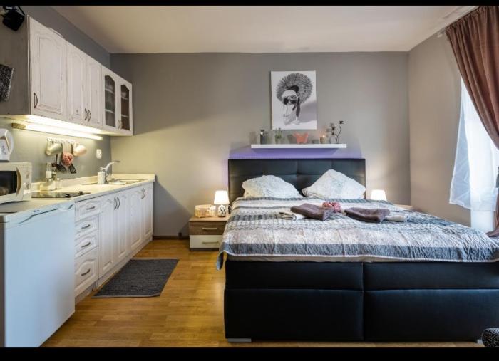 Apartman Zara Superior Liptovský Mikuláš المظهر الخارجي الصورة